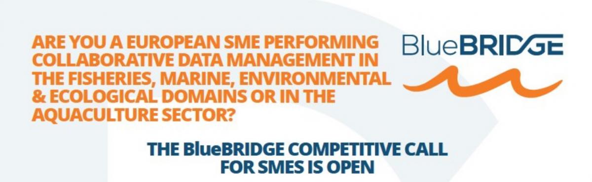 BlueBRIDGE Competitive Call for SMEs